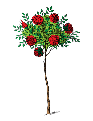 Rose Tree