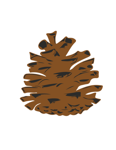 Pine Cone