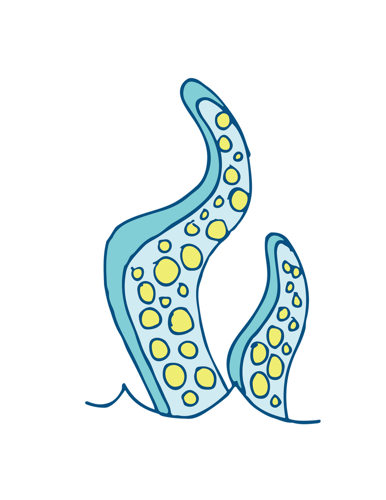 Moby Dick Graphics Set